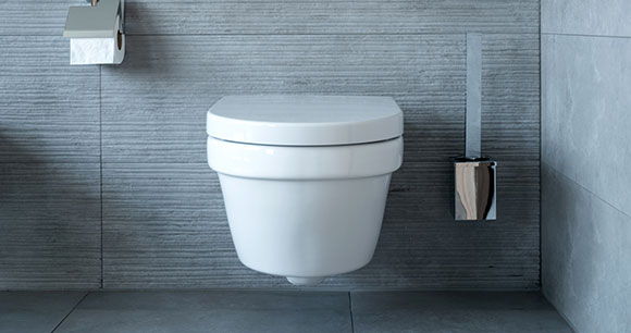 Experience and expertise in bathroom products such as bidets, toilets, and cleaning products