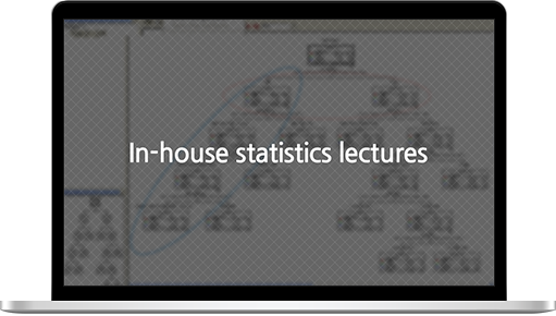 In-house statistics lectures